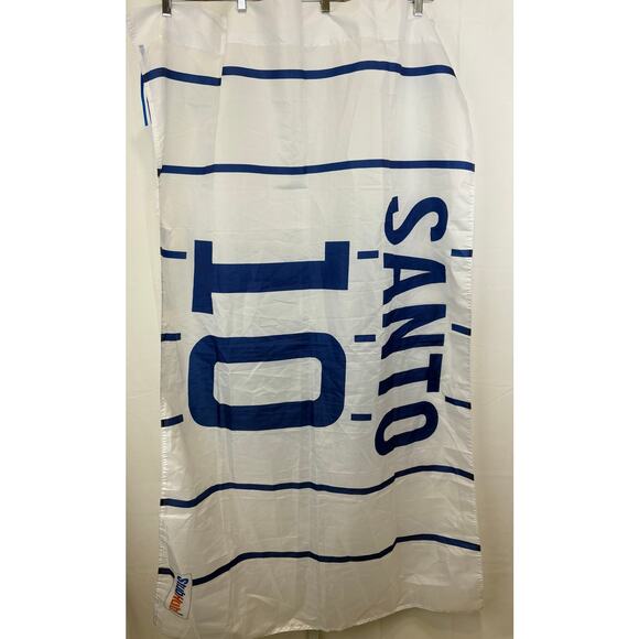 Chicago Cubs Ron Santo Flag #10 Wrigley Field MLB Stubhub Stripe Blue White - Picture 1 of 7